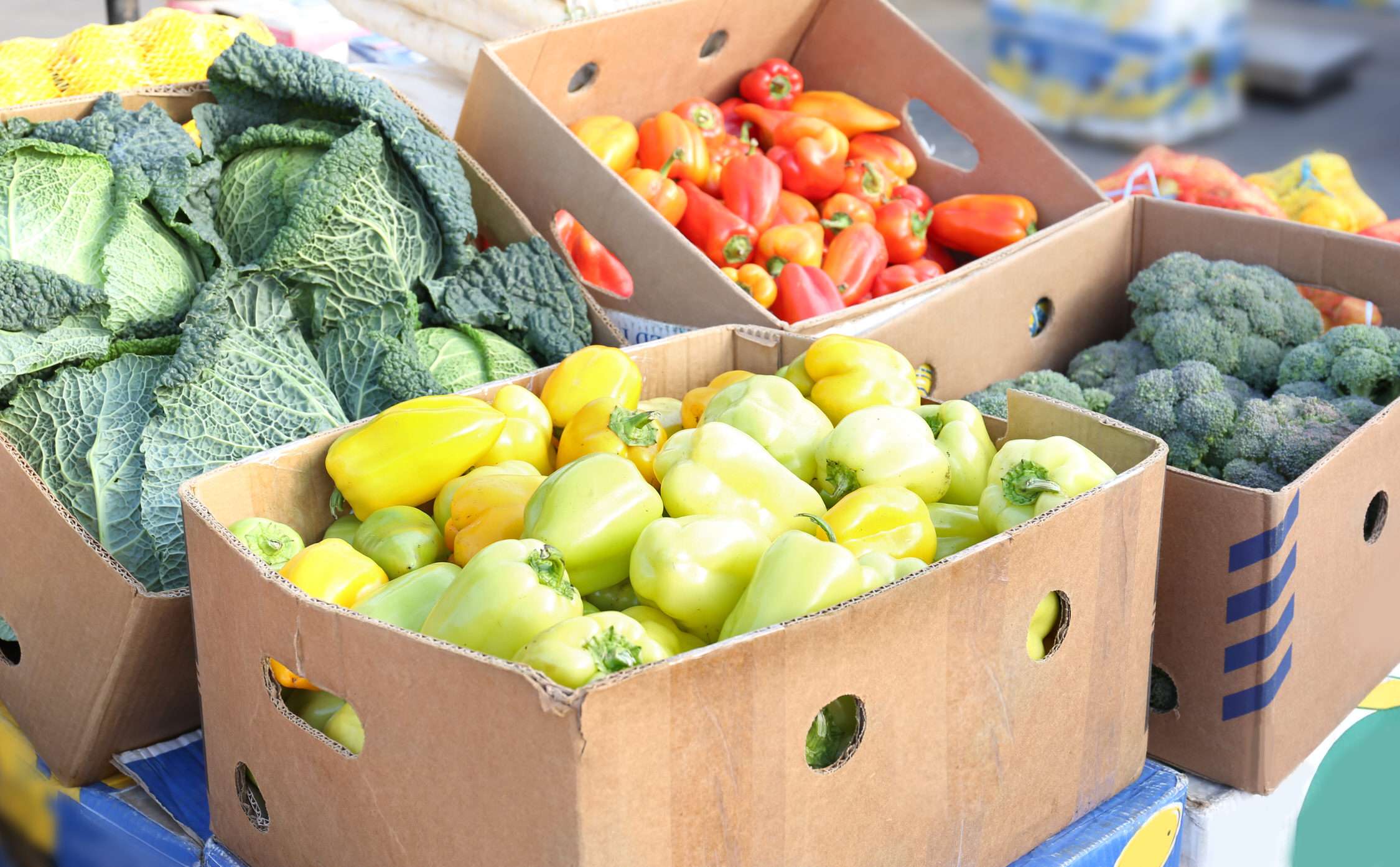 Fresh vegetables in cardboard boxes on market